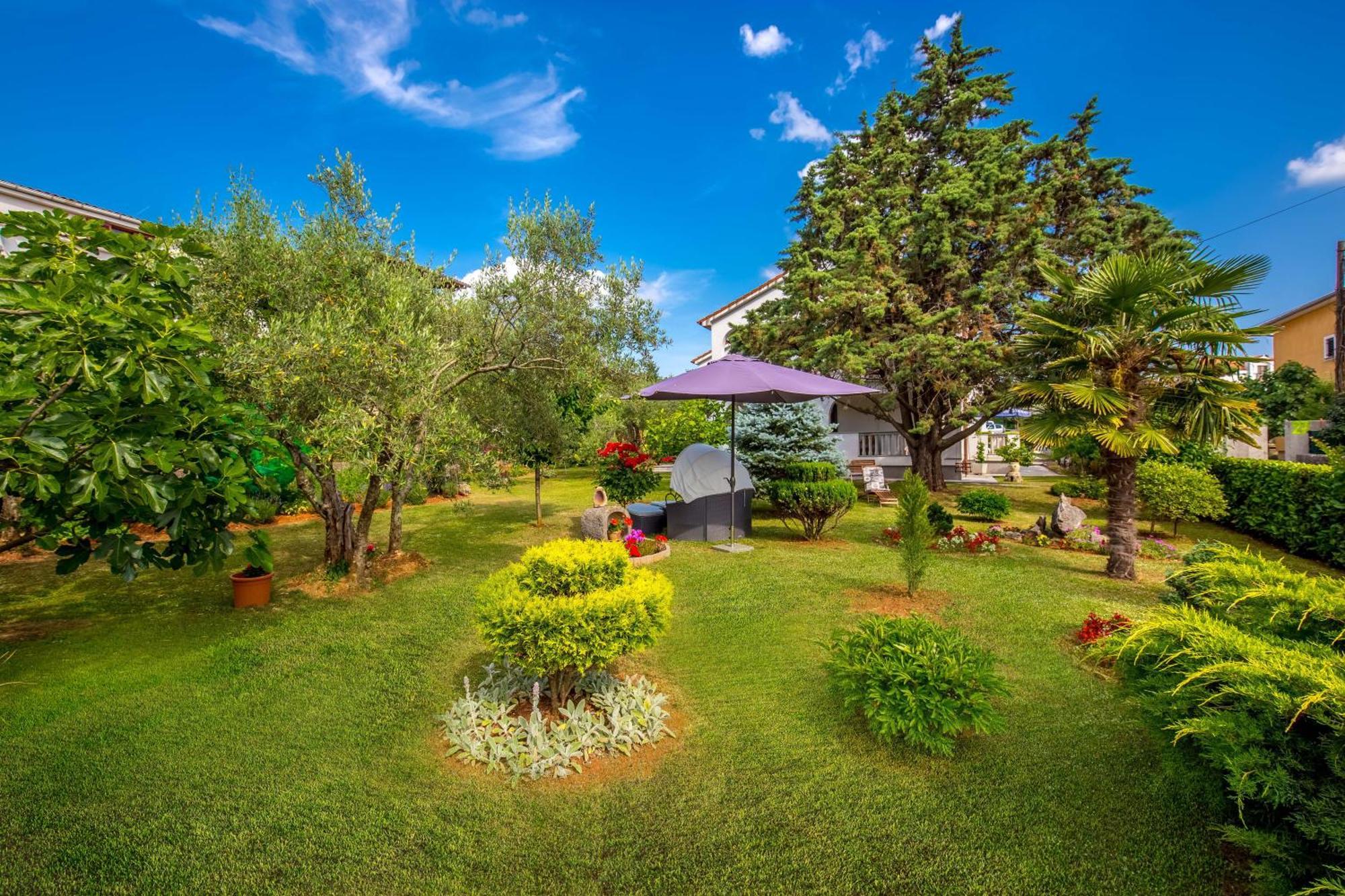 Garden Paradise App Sveti Vid-Miholjice Exteriör bild