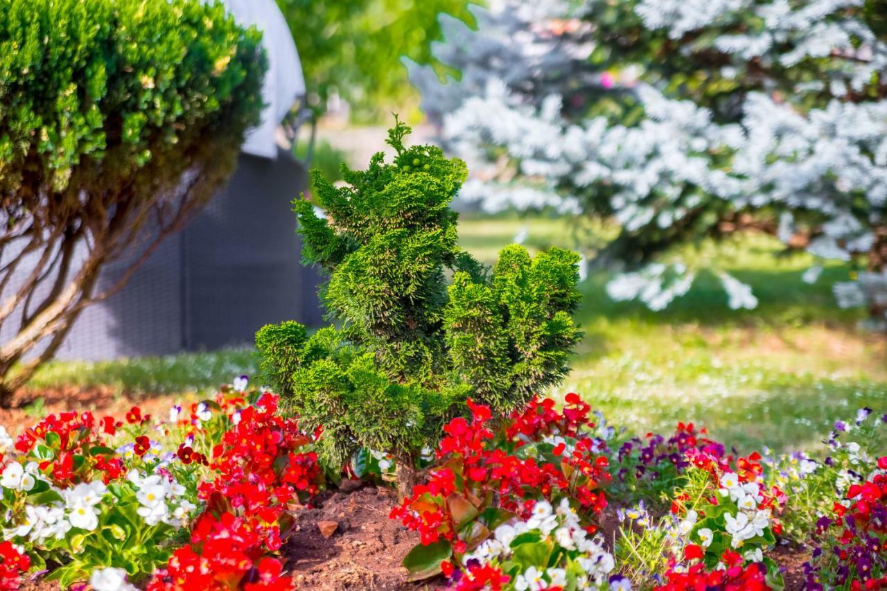Garden Paradise App Sveti Vid-Miholjice Exteriör bild